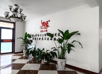 Company Office Environment